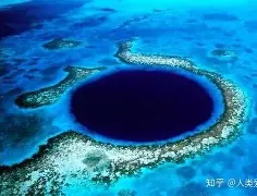 包含字母哥场均17+8的内结果意外的词条